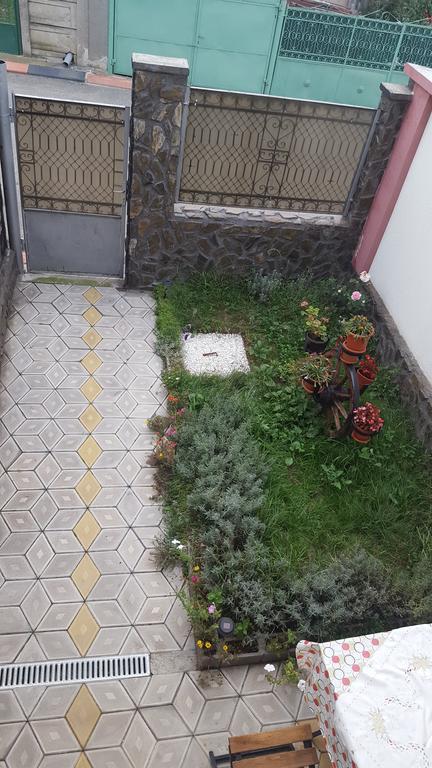 Casa Leo Apartment Hateg Exterior photo