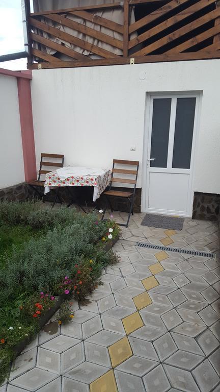 Casa Leo Apartment Hateg Exterior photo